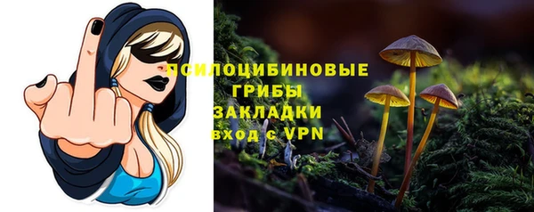 первитин Нея