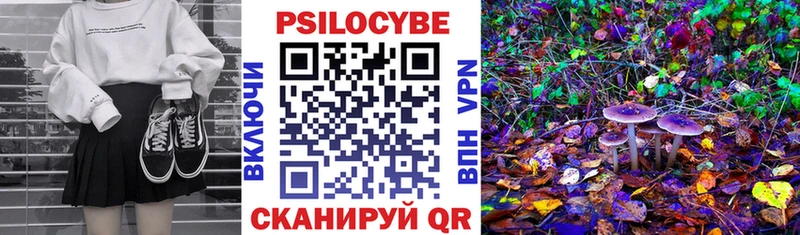 Псилоцибиновые грибы Psilocybine cubensis  omg зеркало  Семикаракорск 